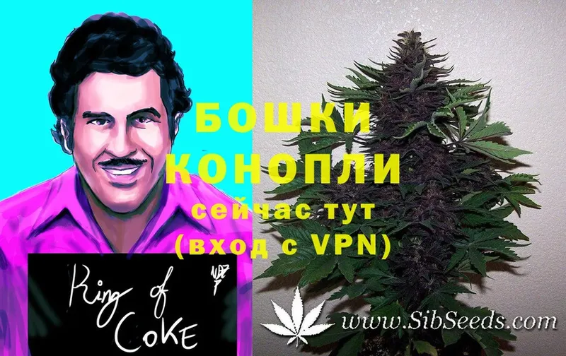 OMG зеркало  Коломна  Марихуана OG Kush 